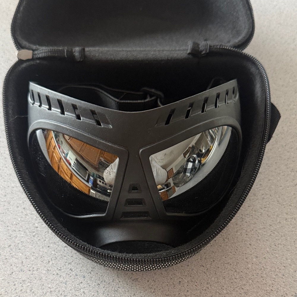 Dog sunglasses